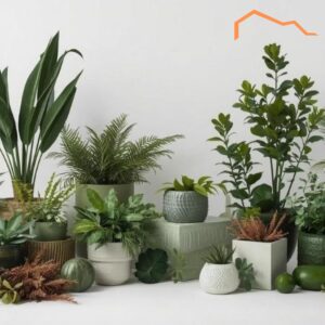 Groen natuurlijk & kunst (verhuur)